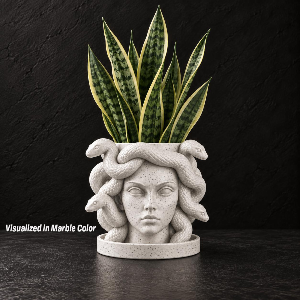 Medusa Planter with Drainage & Drip Tray, Snake Hair Face Planter, 3D Printed Greek Mythology Plant Pot, 22 Colors, Fits 2 4 6 Inch Plants