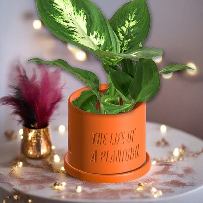 Life of a Showgirl Planter with Drainage and Saucer in Shiny Orange, Plant and Garden lover Gift, Swift Gift Ideas, Indoor and Outdoor