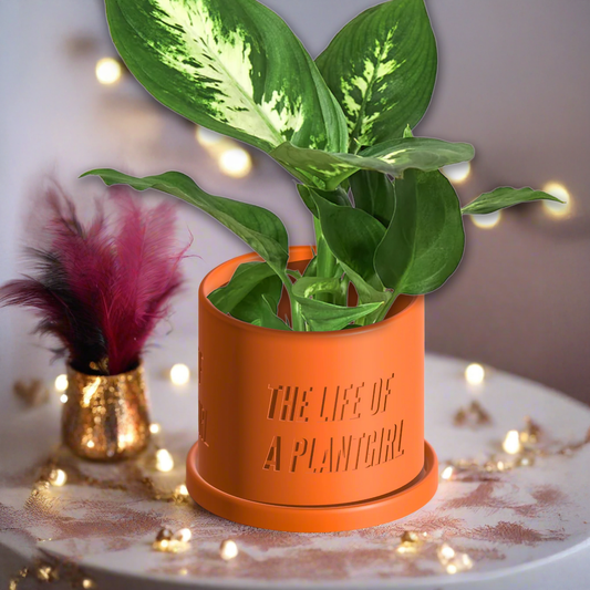 Life of a Showgirl Planter with Drainage and Saucer in Shiny Orange, Plant and Garden lover Gift, Swift Gift Ideas, Indoor and Outdoor