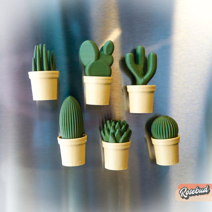 Magnetic Mini Cactus & Succulents