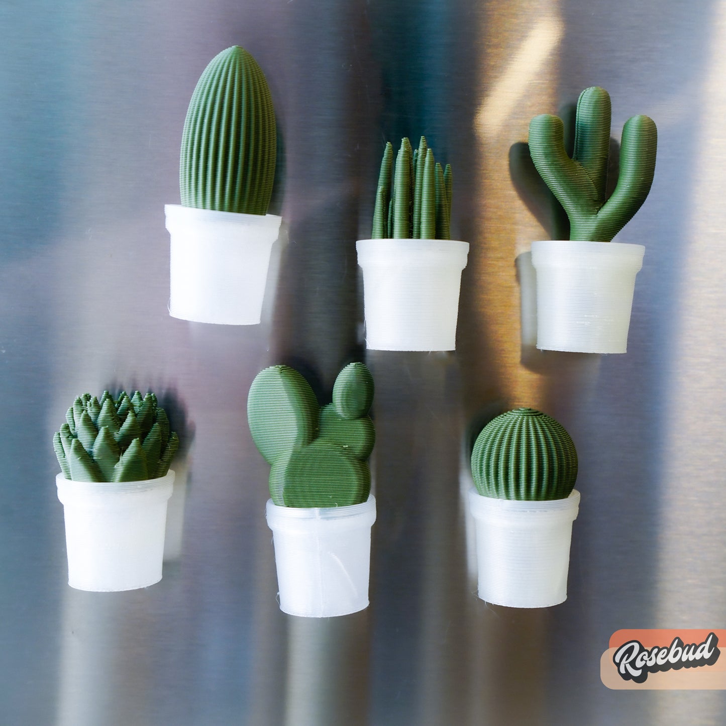 Magnetic Mini Cactus & Succulents