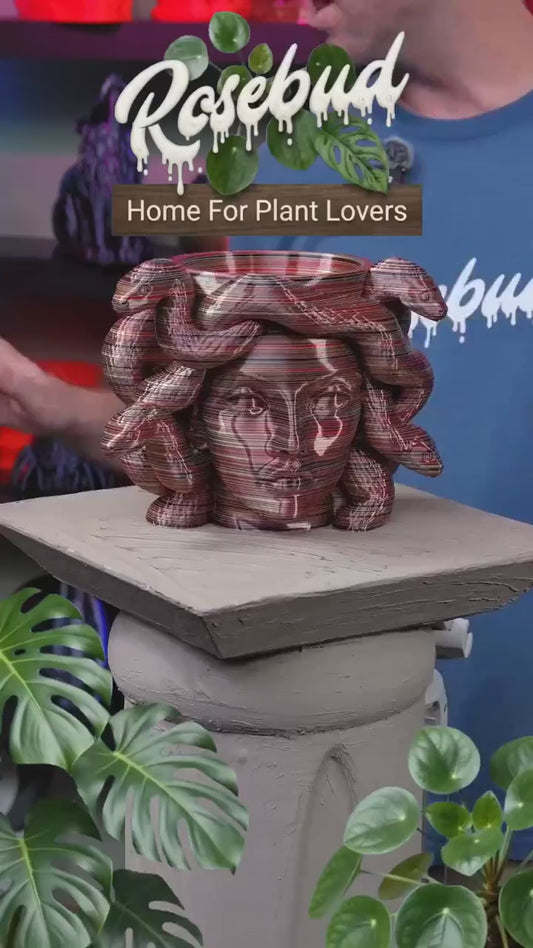 Medusa Planter with Drainage & Drip Tray, Snake Hair Face Planter, 3D Printed Greek Mythology Plant Pot, 22 Colors, Fits 2 4 6 Inch Plants