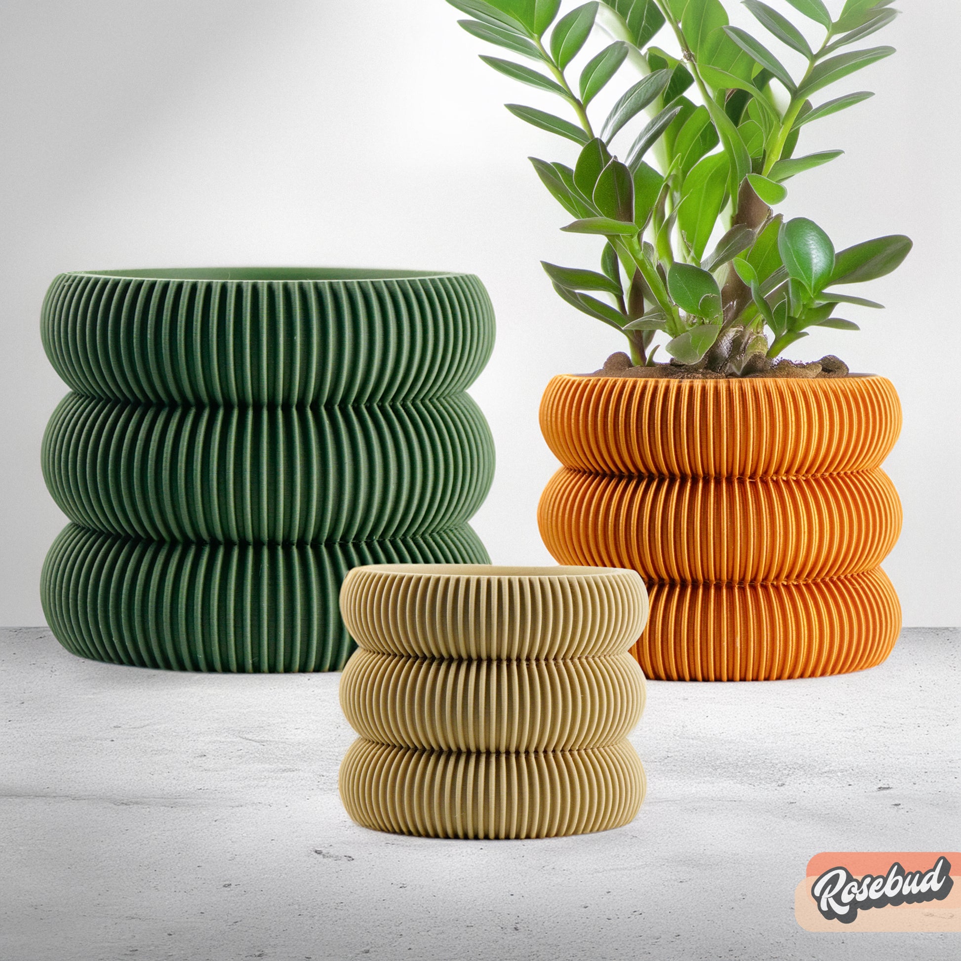 bubble wrap plant pots Ribbed Bubble Plant Pot With Drainage and Saucer Green / 5 Inch