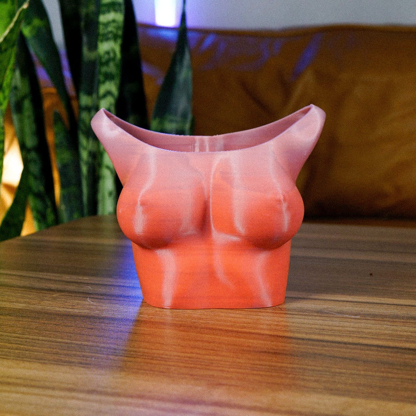 Boob Planter - Rosebud HomeGoods Ombré Small With Drip Tray MODERN HOME GOOD