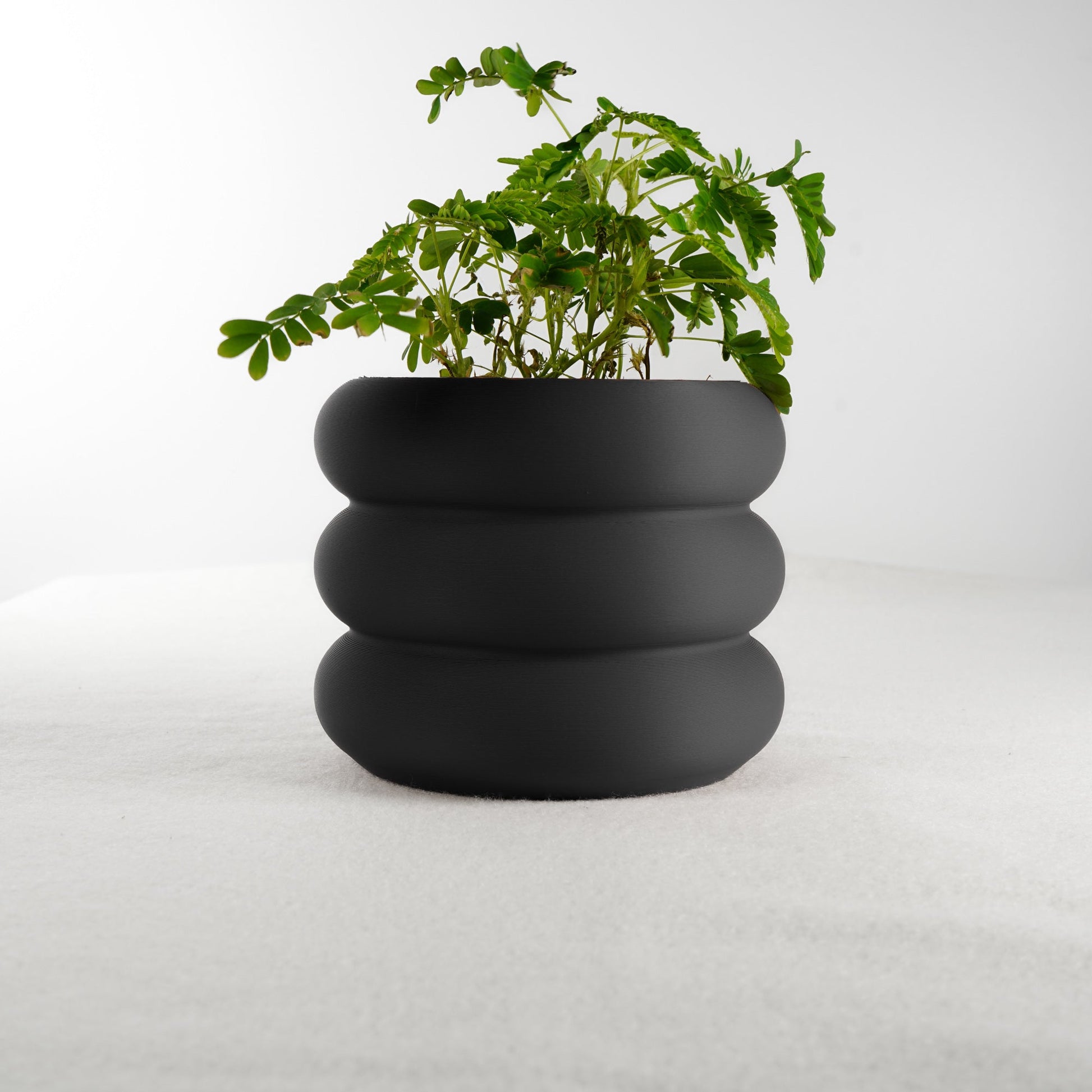 Bubble Planter - Rosebud HomeGoods Black 4 Inch With Drip Tray MODERN HOME GOOD