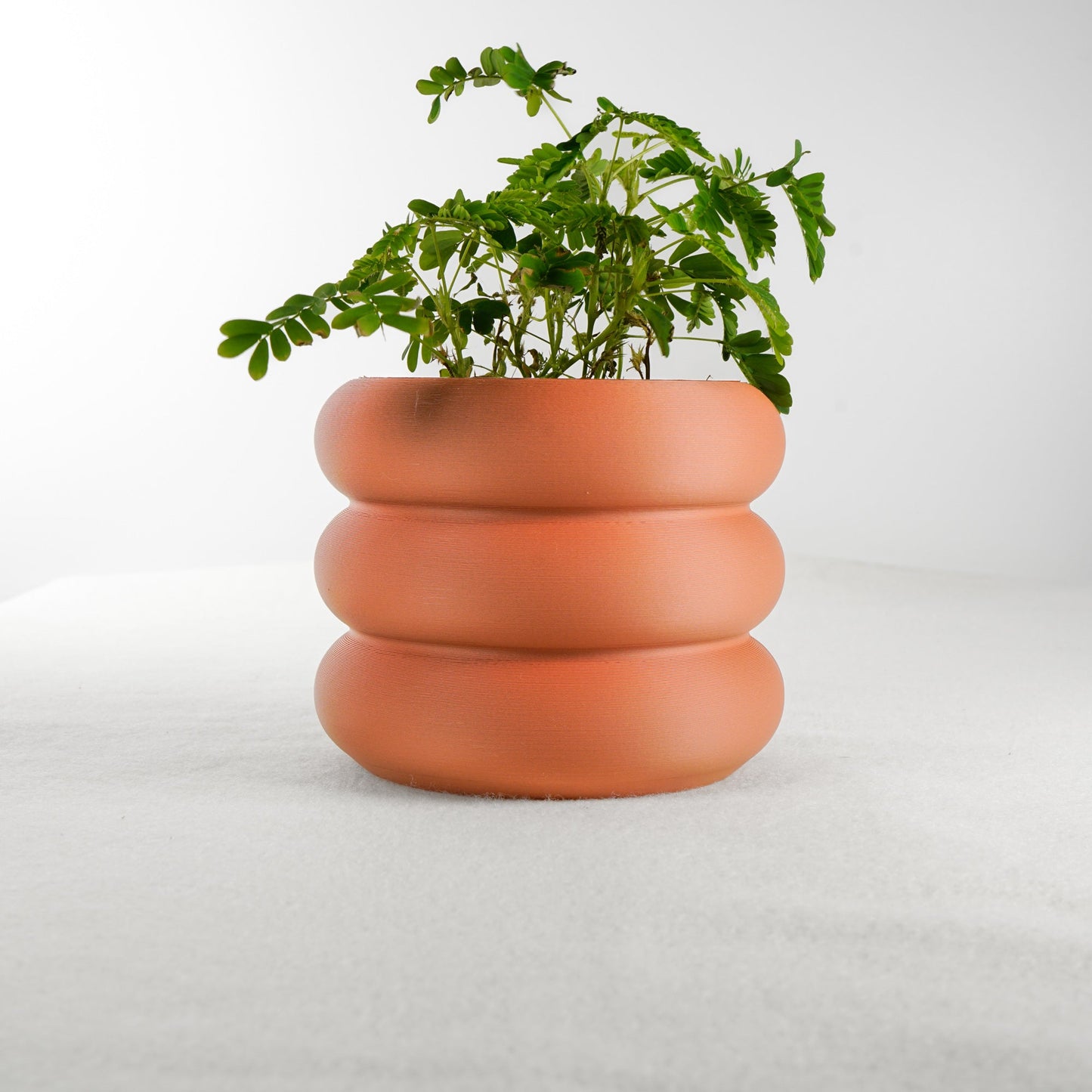 Bubble Planter - Rosebud HomeGoods Terracotta 4 Inch With Drip Tray MODERN HOME GOOD