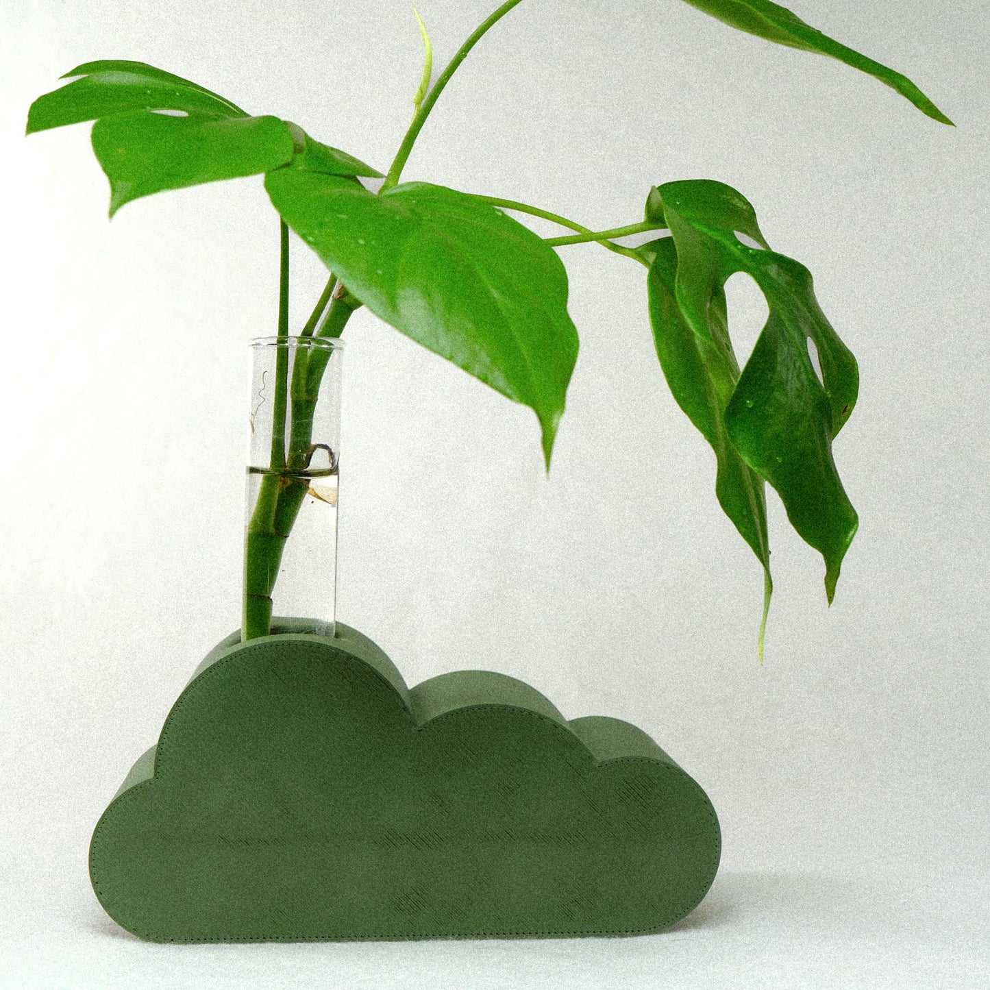 Cloud Propagation - Rosebud HomeGoods Stand & Tube Green MODERN HOME GOOD
