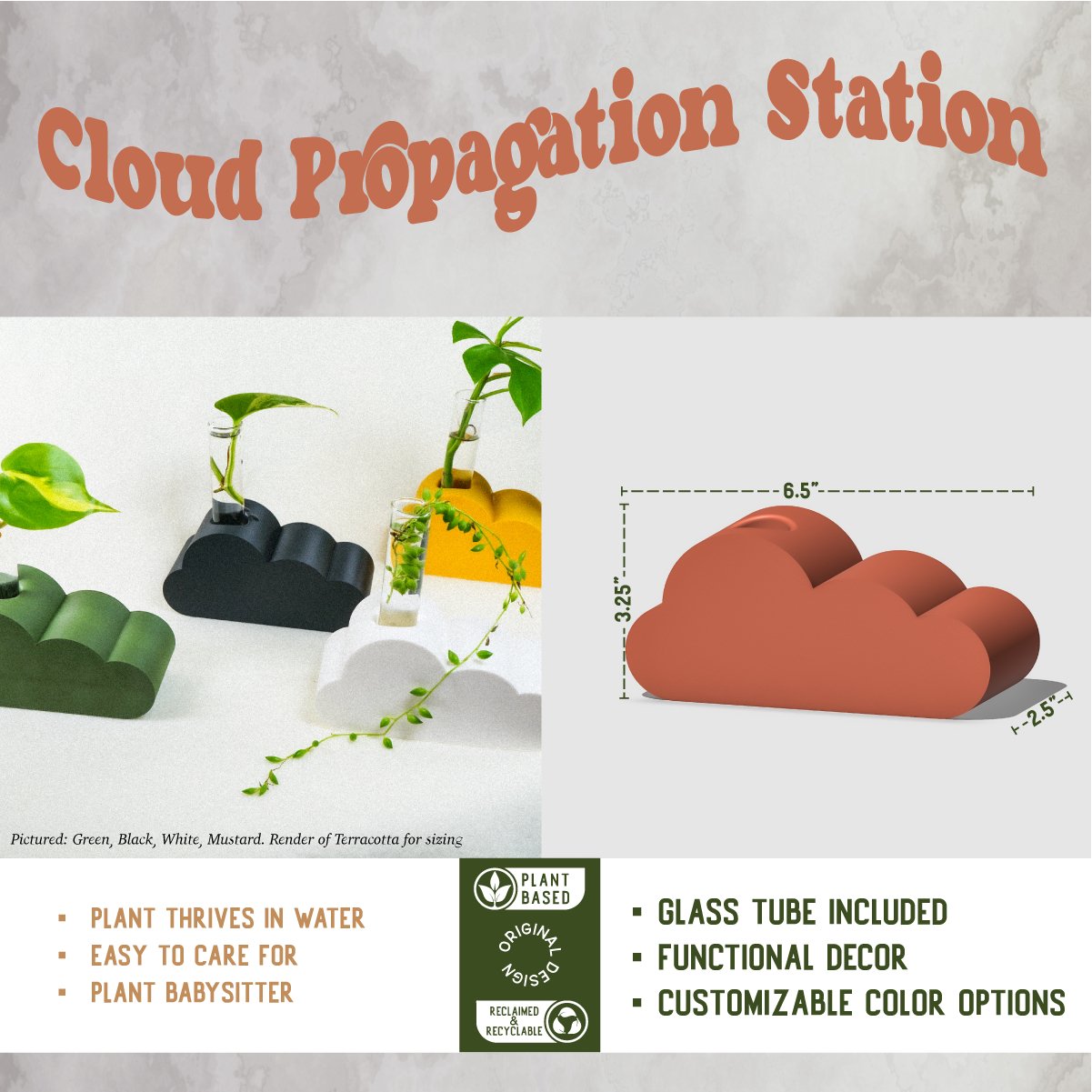 Cloud Propagation - Rosebud HomeGoods Stand & Tube Black MODERN HOME GOOD