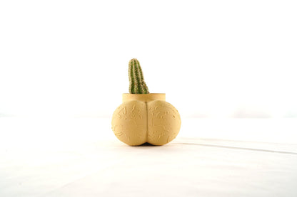 Cock Pot - Rosebud HomeGoods Beige With Cactus 2” MODERN HOME GOOD