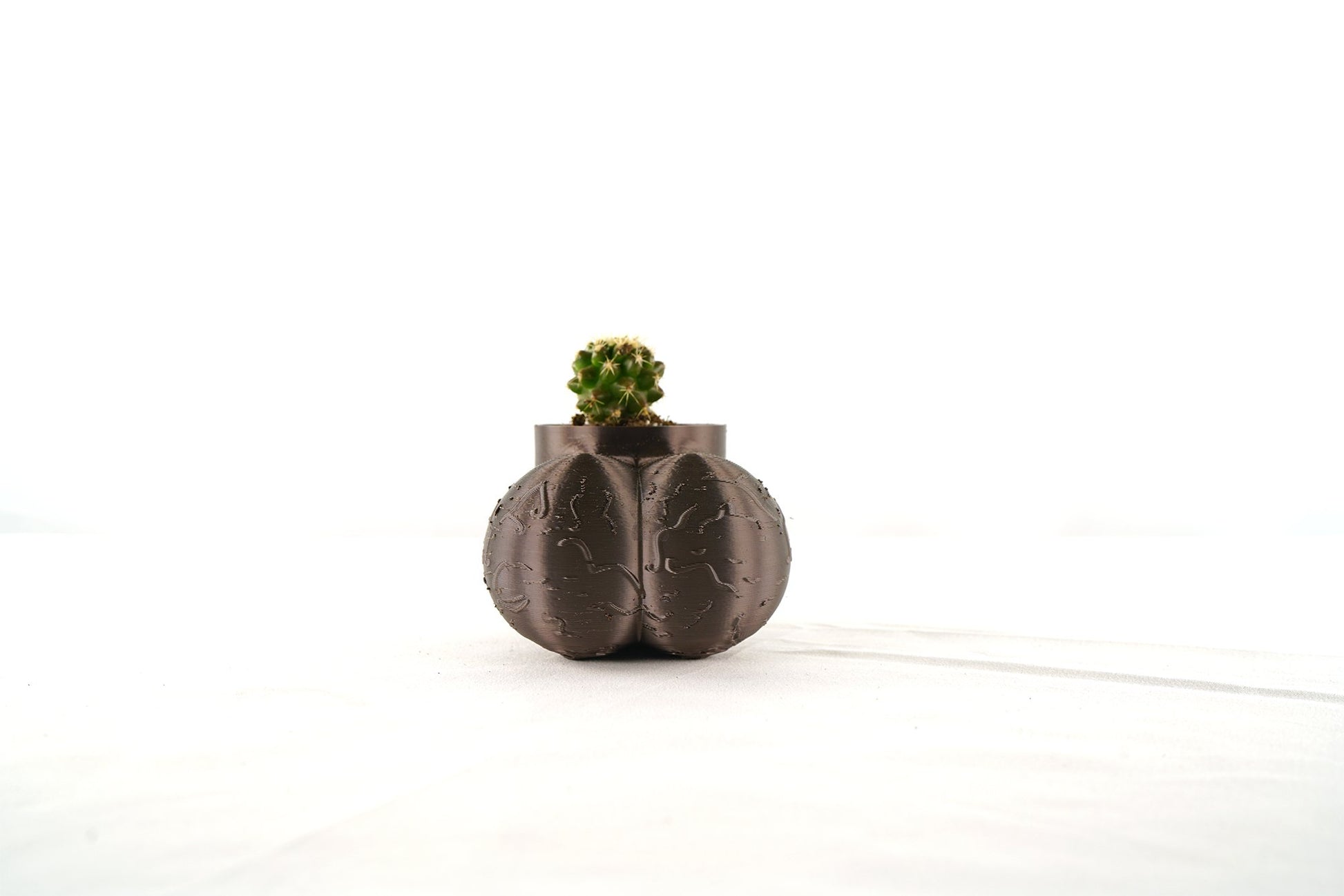 Cock Pot - Rosebud HomeGoods Beige With Cactus 2” MODERN HOME GOOD