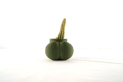 Cock Pot - Rosebud HomeGoods Green With Cactus 2” MODERN HOME GOOD