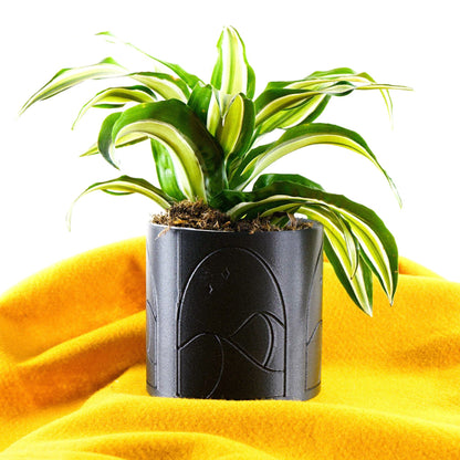 Desert Scape Planter - Rosebud HomeGoods Black 4 Inch Without Drip Tray MODERN HOME GOOD