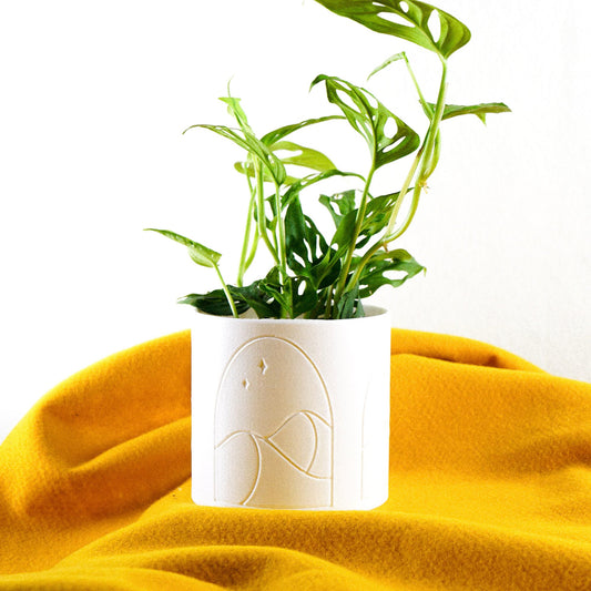 Desert Scape Planter - Rosebud HomeGoods Black 4 Inch Without Drip Tray MODERN HOME GOOD