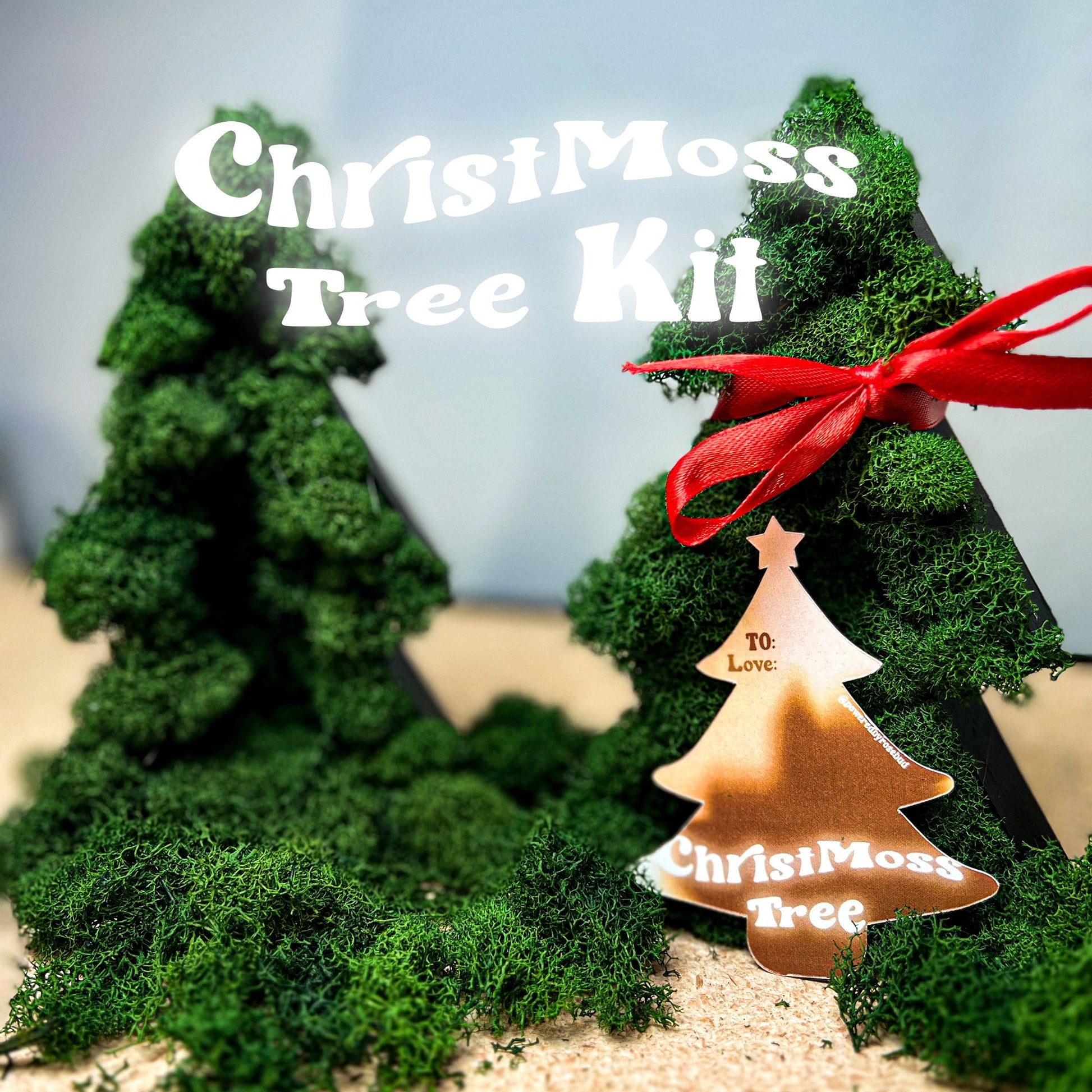DIY ChrisMoss Tree Kit - Rosebud HomeGoods 1 Tree Kit MODERN HOME GOOD