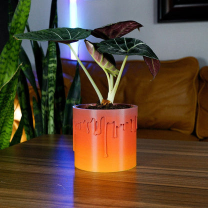 Drip Planter - Rosebud HomeGoods Green 4 inch With Drip Tray MODERN HOME GOOD