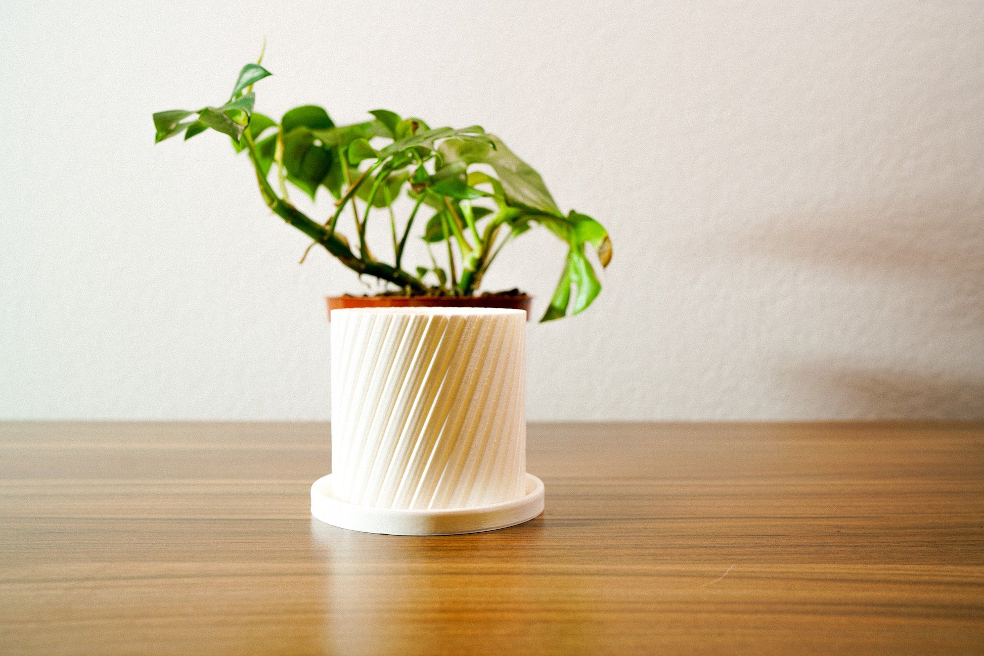 Drip Tray Add On for Round Planters - Rosebud HomeGoods 4 inch Round Planter Black MODERN HOME GOOD