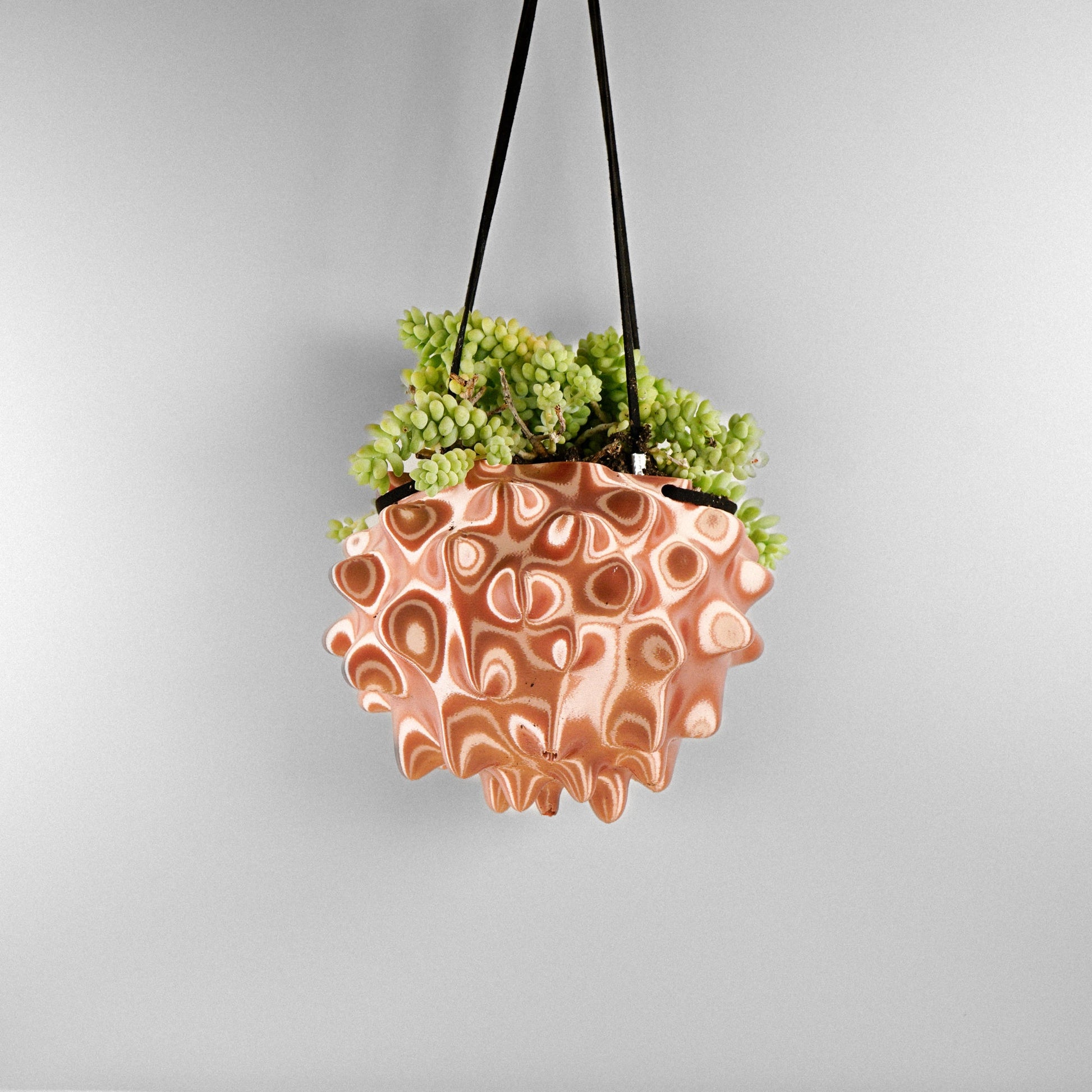Exotic Orb Hanging Planter - Rosebud HomeGoods Copper 5 inch MODERN HOME GOOD