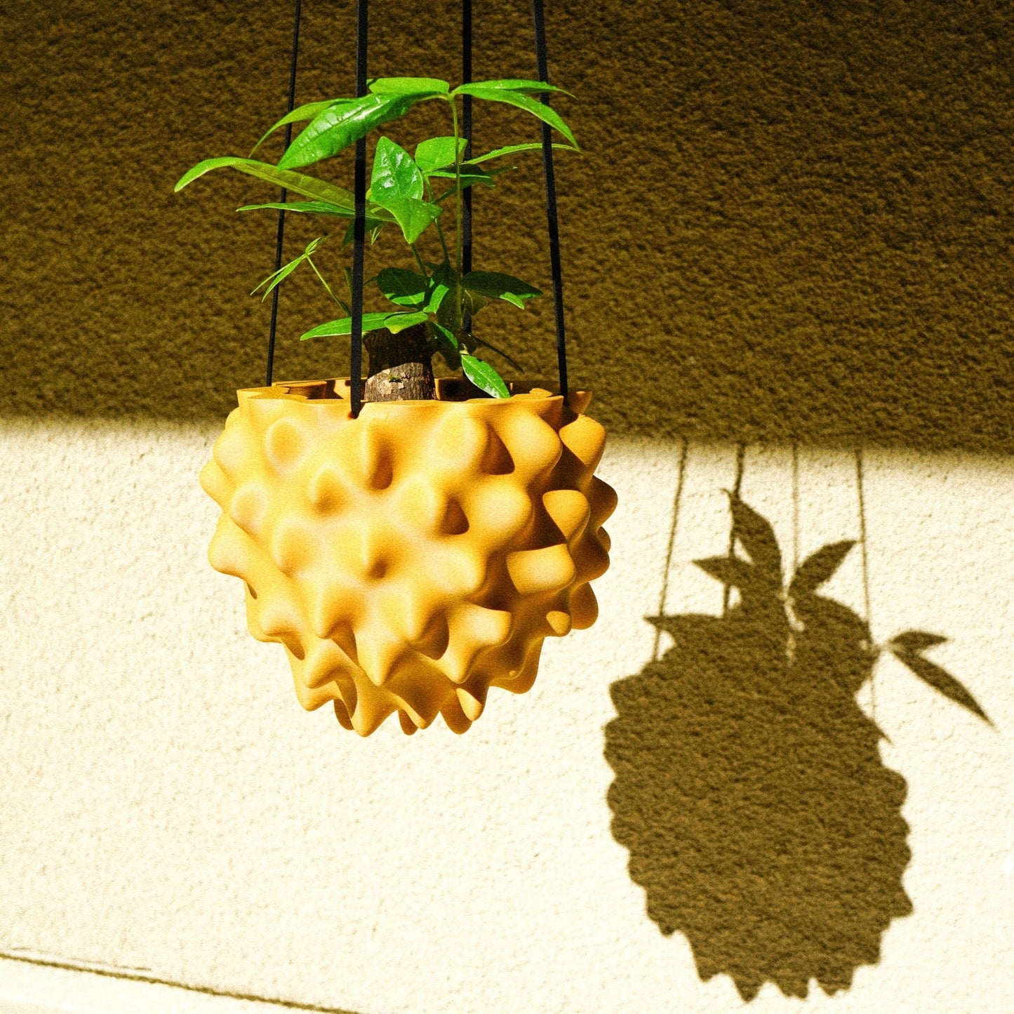 Exotic Orb Hanging Planter - Rosebud HomeGoods Mustard 5 inch MODERN HOME GOOD