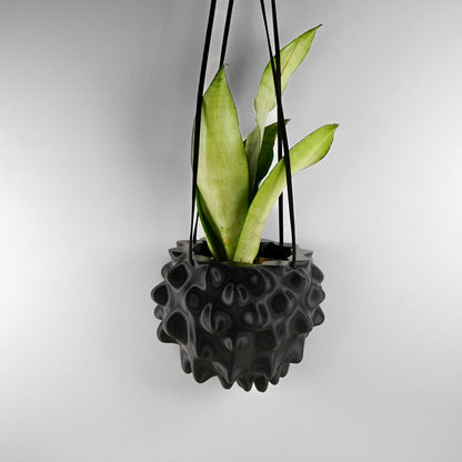 Exotic Orb Hanging Planter - Rosebud HomeGoods Black 5 inch MODERN HOME GOOD