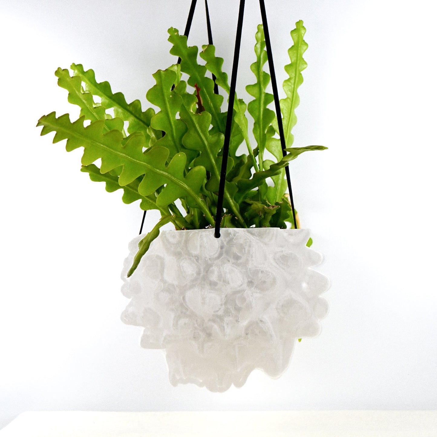 Exotic Orb Hanging Planter - Rosebud HomeGoods Crystal 5 inch MODERN HOME GOOD