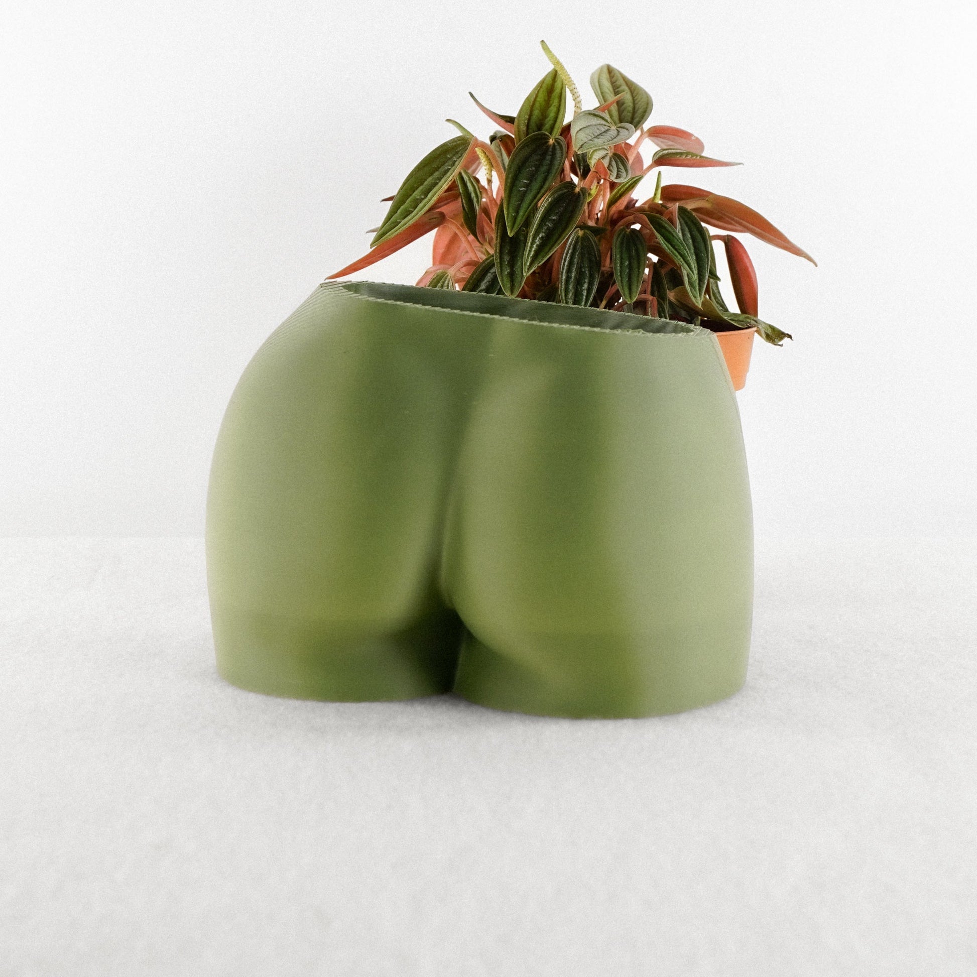 Feminine Butt Planter - Rosebud HomeGoods Green With Drip Tray MODERN HOME GOOD