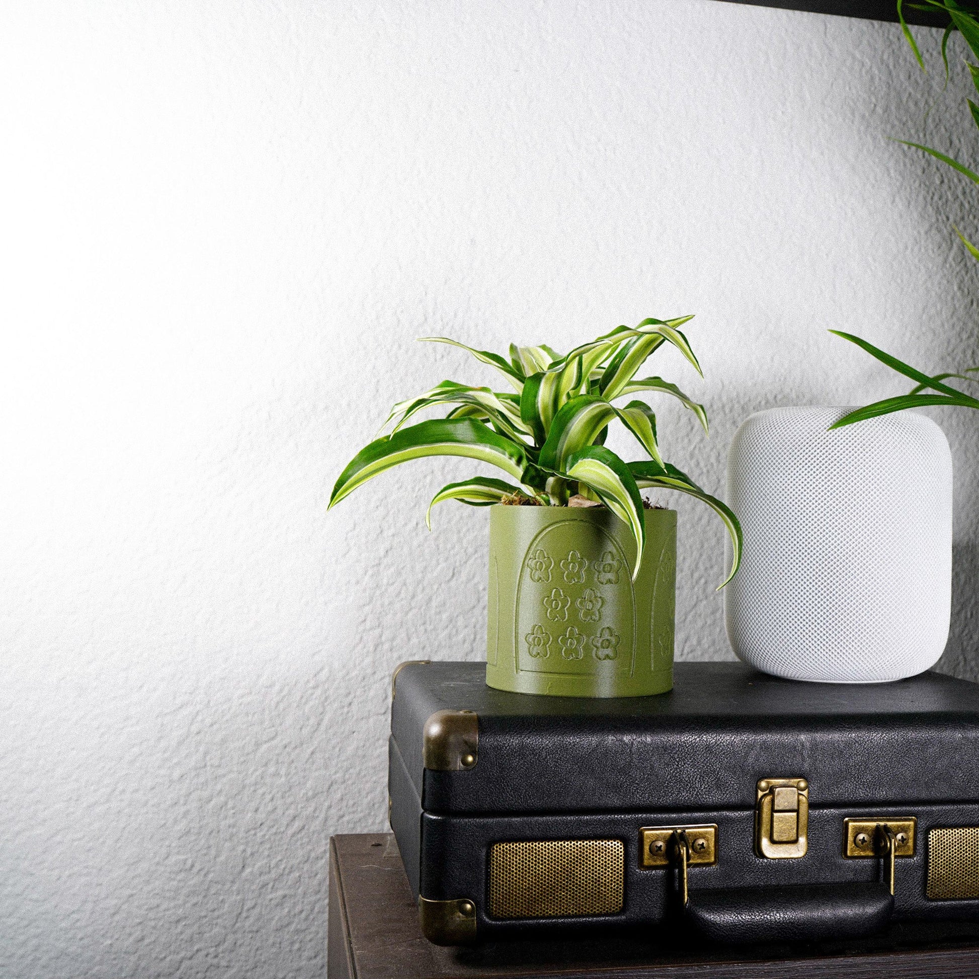 window planter indoor Flowers in the Window Planter – Rosebud HomeGoods
