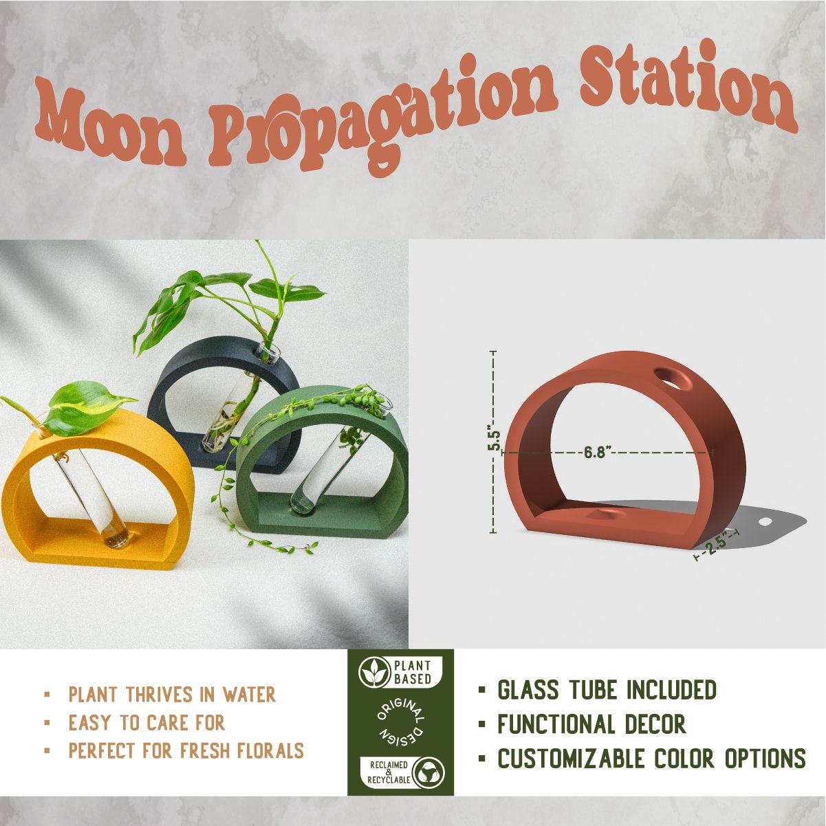 Half-Moon Propagation - Rosebud HomeGoods Stand & Tube Mustard MODERN HOME GOOD