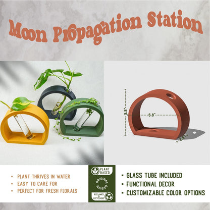 Half-Moon Propagation - Rosebud HomeGoods Stand & Tube Mustard MODERN HOME GOOD