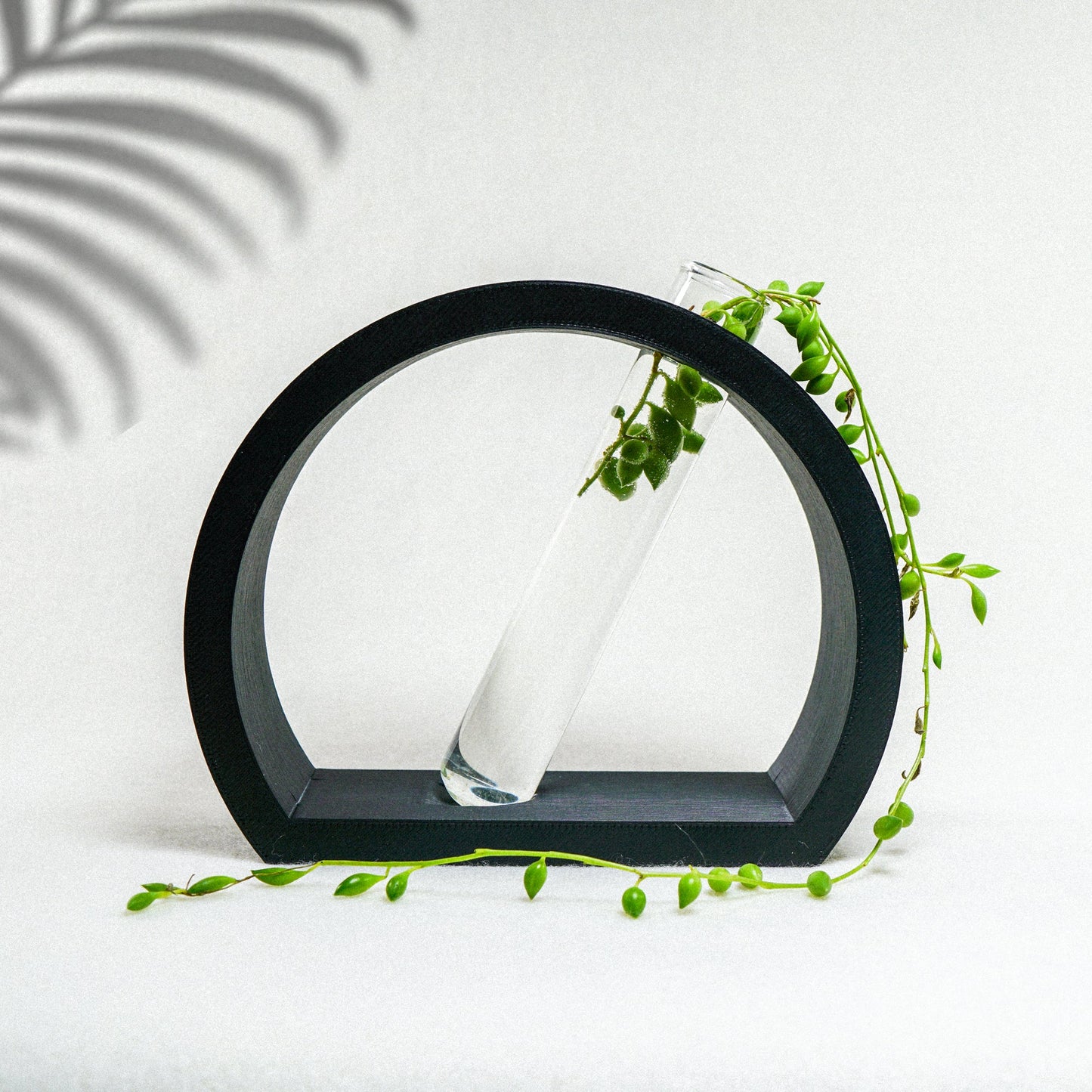 Half-Moon Propagation - Rosebud HomeGoods Stand & Tube Black MODERN HOME GOOD