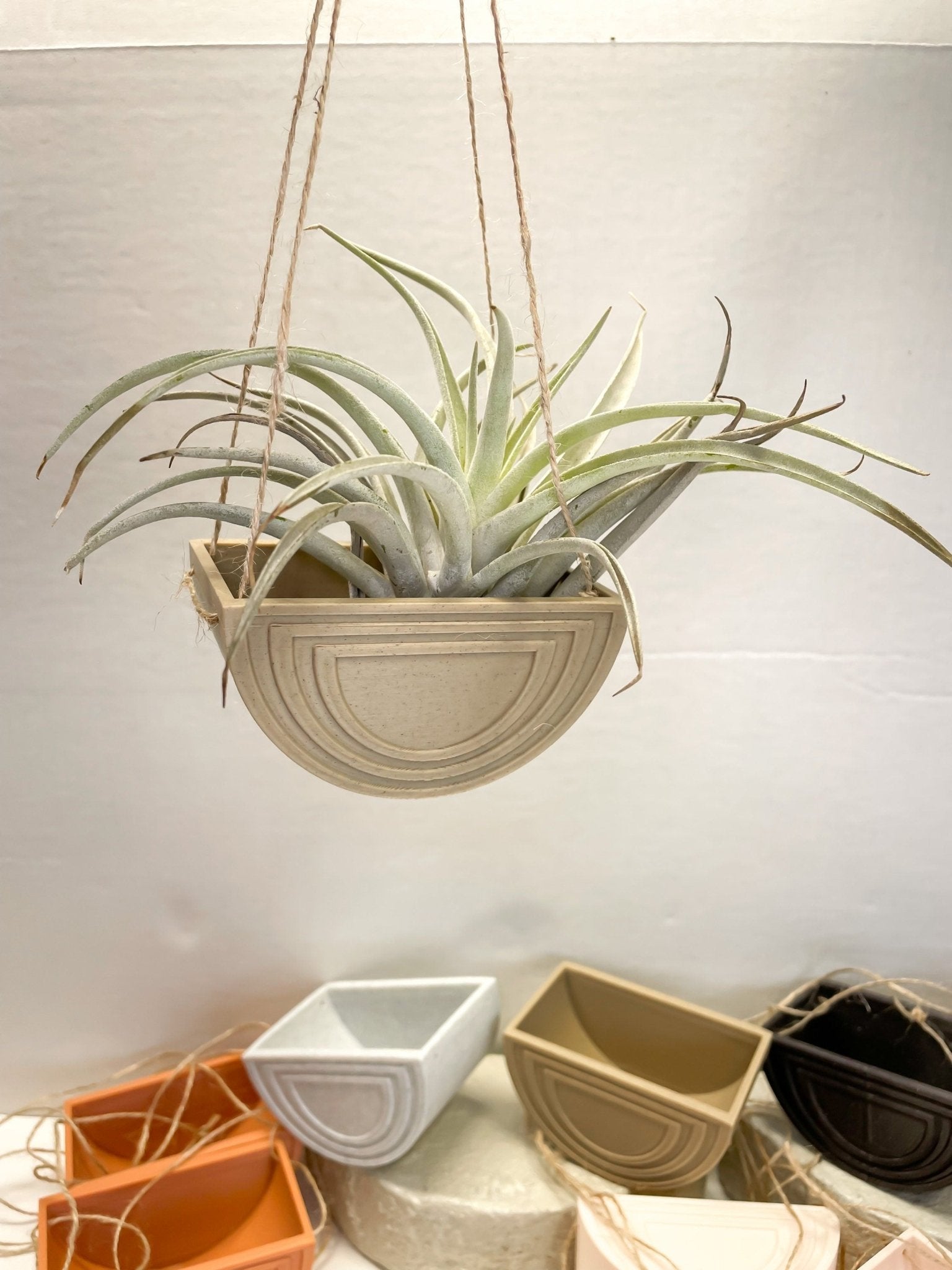 rainbow hanging planter Hanging Planter – Stylish, Durable, Eco-Friendly, Modern Design, Indoor & Outdoor Use, Multiple Sizes & Colors, Lightweight, Easy to Install, Perfect