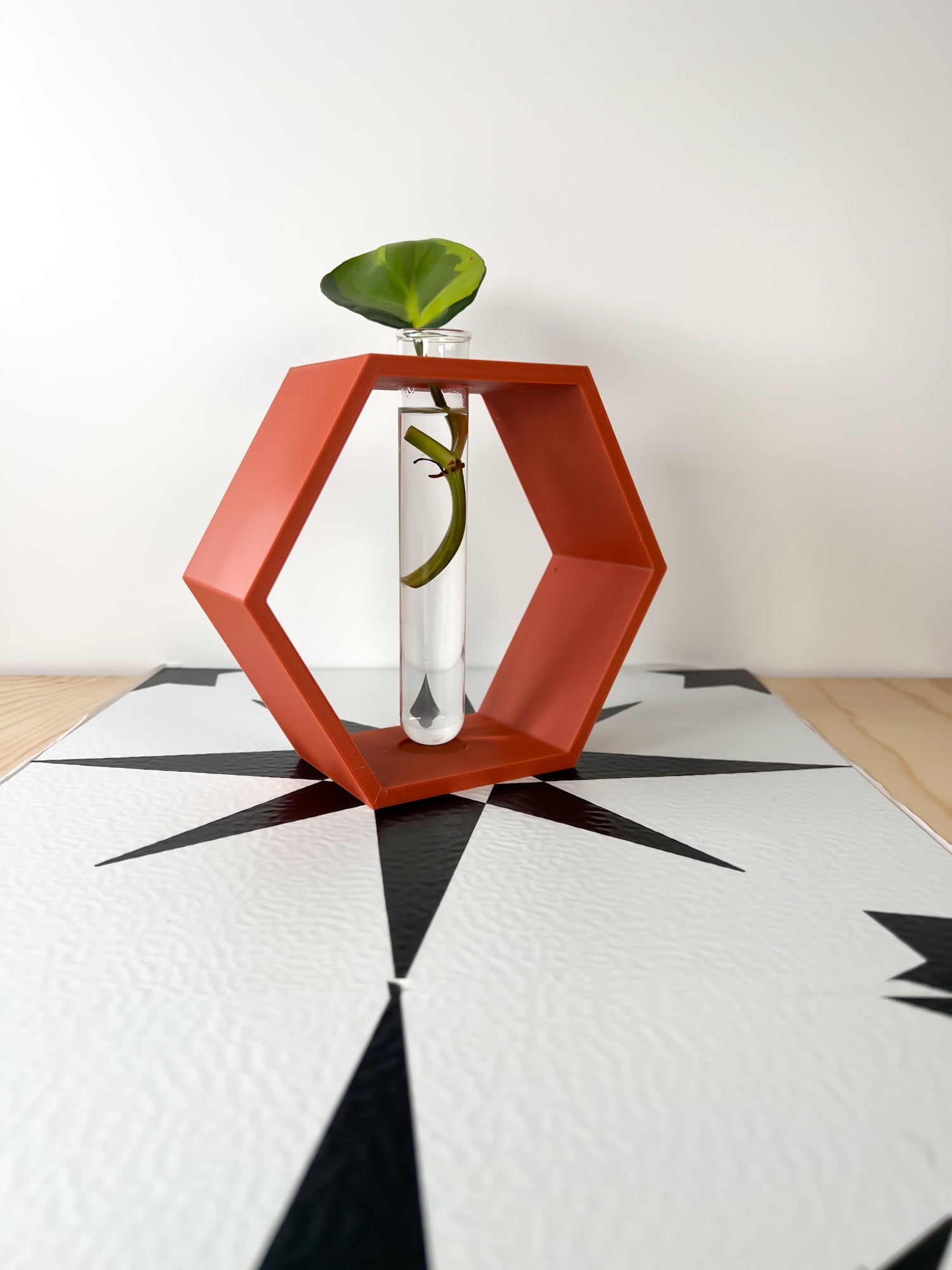 Hexagon Propagation Station - Rosebud HomeGoods Terracotta Stand & Tube MODERN HOME GOOD