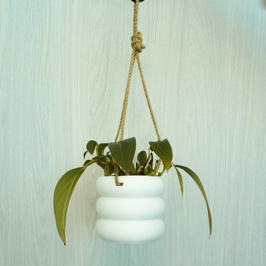 Hanging Bubble Pot, 3D Printed Planter, Hanging Wall Planter with Drainage, Minimal Decor, 4 5 6 7 8 Inch Plant Pots in Matte Terracotta