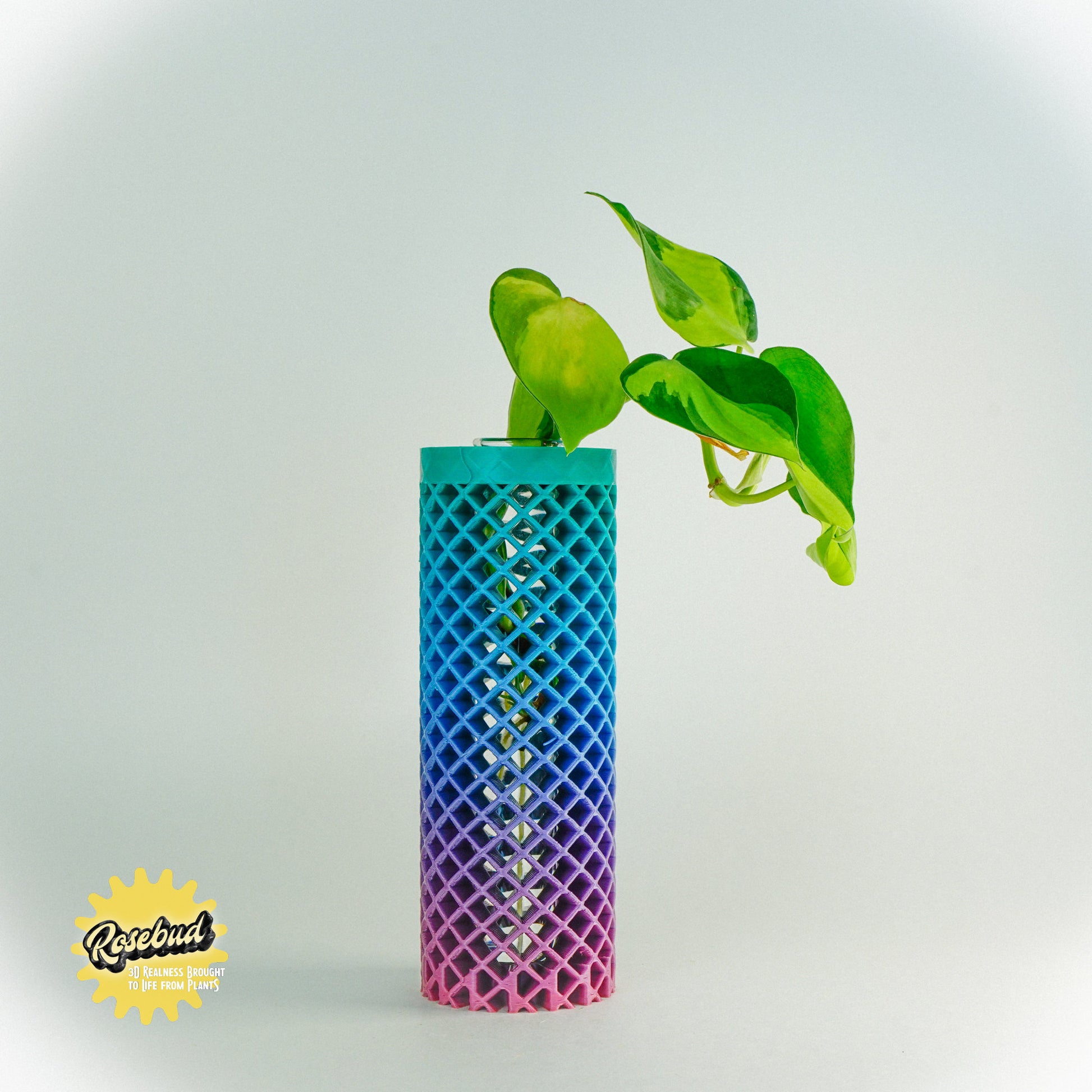 Propagation Station for Plant Cuttings, Bookshelf Table Decor, Multiple Sizes and Colors, 3D Printed Vase, Gifts for Plant Lovers, Posiedon