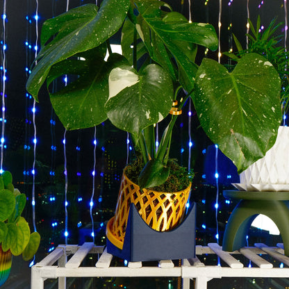 Plant Stand for Indoor Plant Pots - Perfect for House Plants and Plant Lovers, Gift for Plant Lover, Art Deco Planter Stands, LeafLeaner