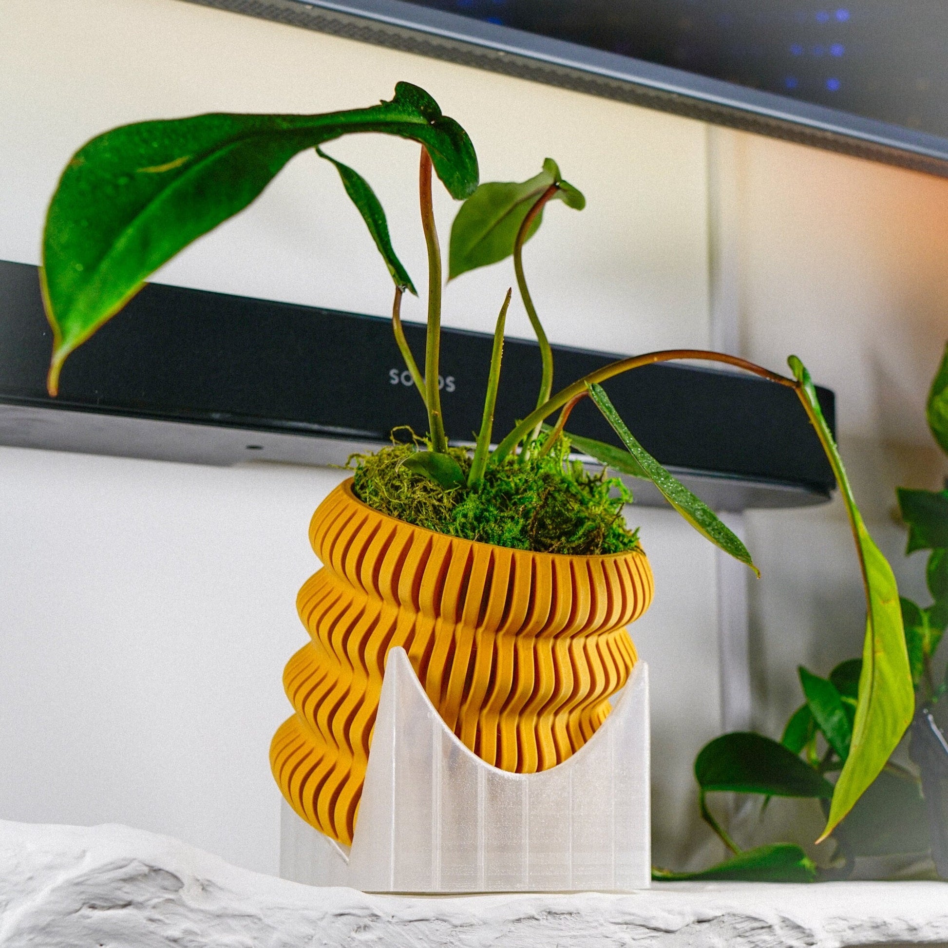 in house plant stands Plant Stand for Indoor Plant Pots