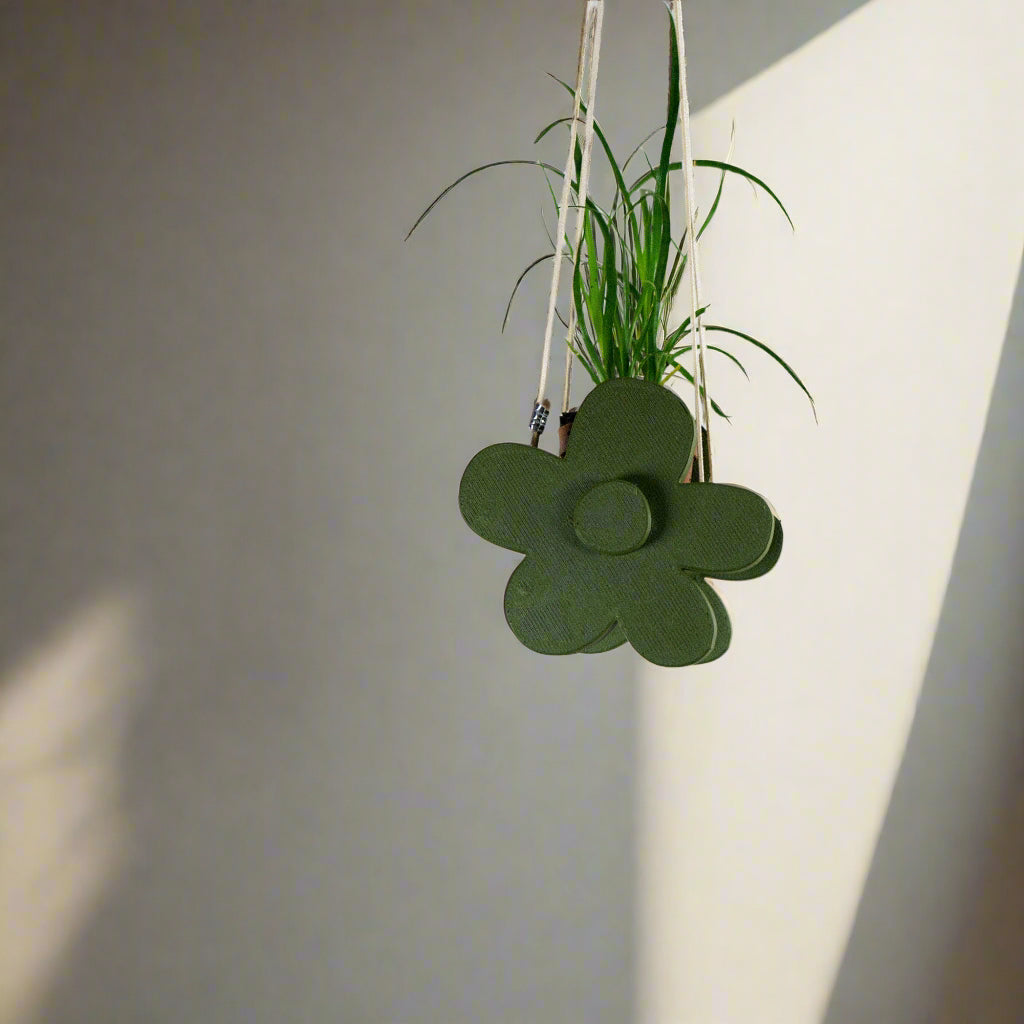 indoor daisy plants Hanging Planter – Stylish, Durable, Eco-Friendly, Modern Design, Indoor & Outdoor Use, Multiple Sizes & Colors, Lightweight, Easy to Install, Perfect