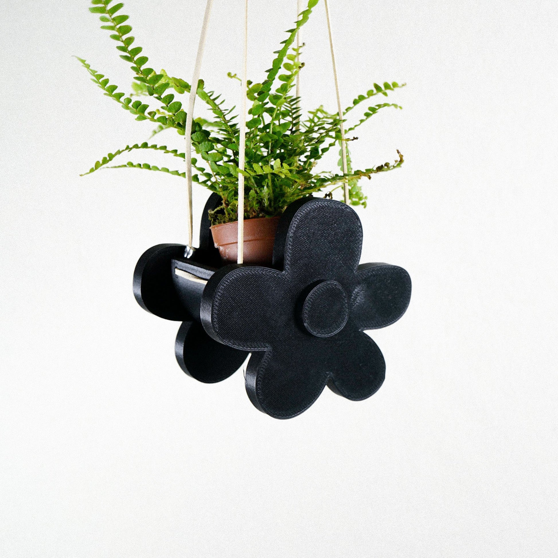 Indoor Hanging Planter, Daisy - Rosebud HomeGoods Black Small MODERN HOME GOOD