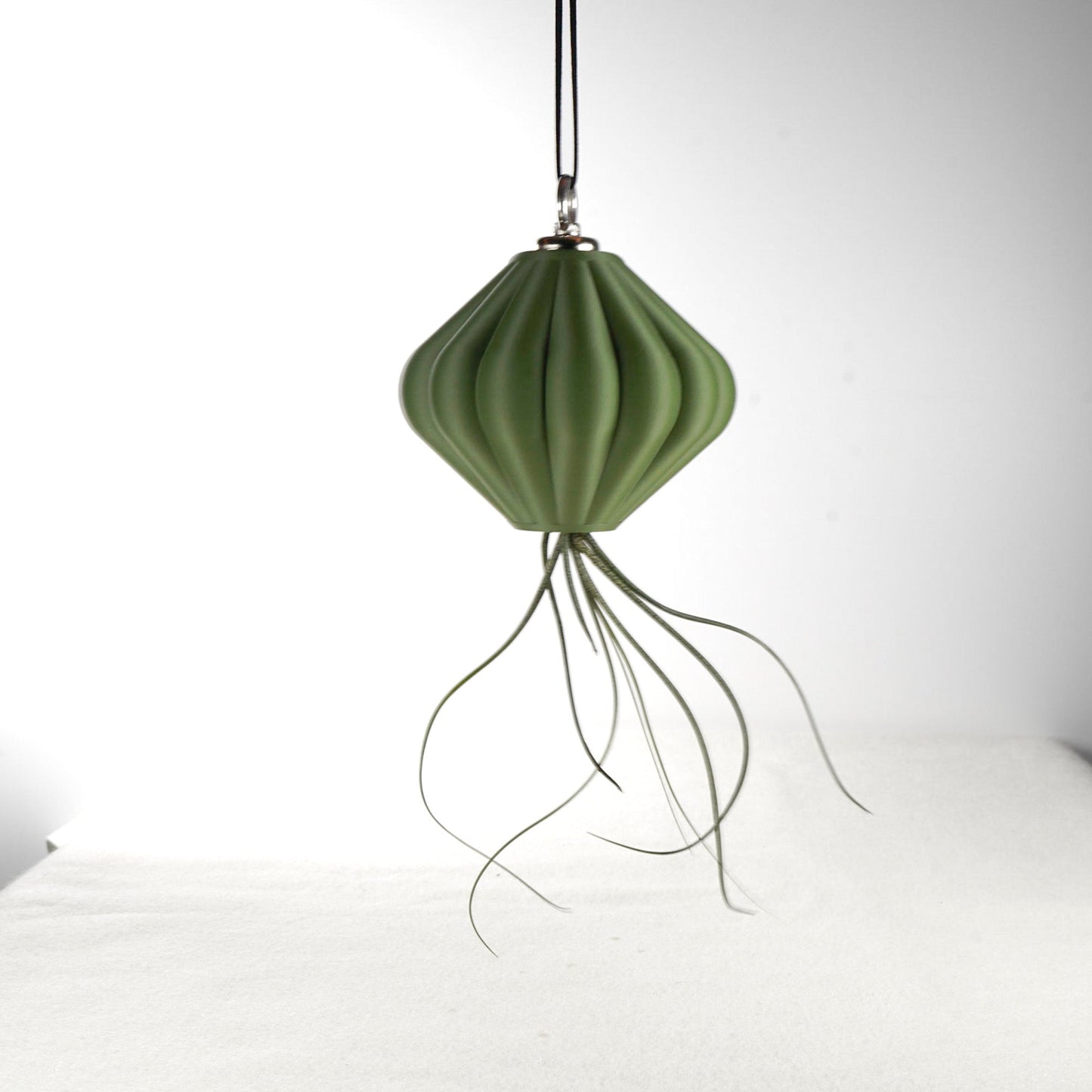 MAGNETIC Air Planter, JellyFish, Air Plant Included - Rosebud HomeGoods Small Green MODERN HOME GOOD