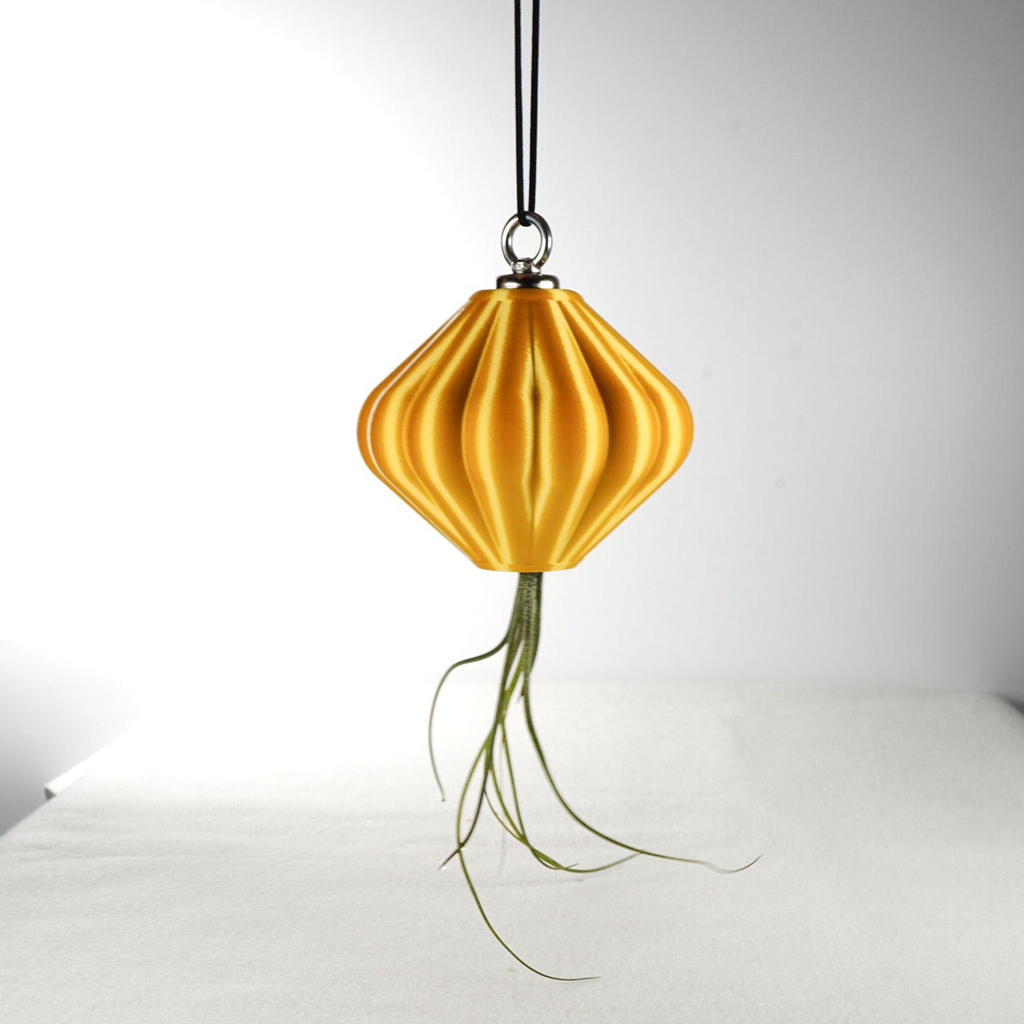 MAGNETIC Air Planter, JellyFish, Air Plant Included - Rosebud HomeGoods Small Gold MODERN HOME GOOD