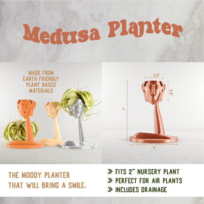 Medusa Air Head Planter - Rosebud HomeGoods Beige Without Air Plant MODERN HOME GOOD