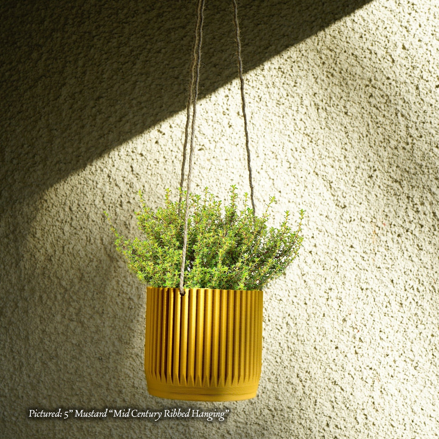 Mid Century Ribbed Hanging Plant Pots - Rosebud HomeGoods Black With Drainage 4” MODERN HOME GOOD