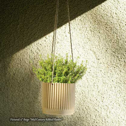 Mid Century Ribbed Hanging Plant Pots - Rosebud HomeGoods Black With Drainage 4” MODERN HOME GOOD