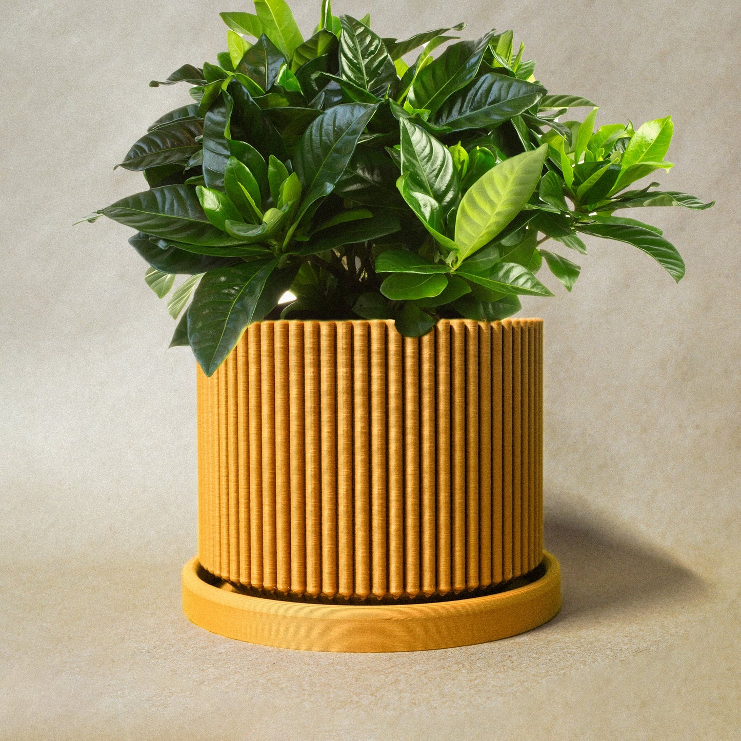 Mid-Century Ribbed Planter - Rosebud HomeGoods Mustard 4 With Drip Tray MODERN HOME GOOD