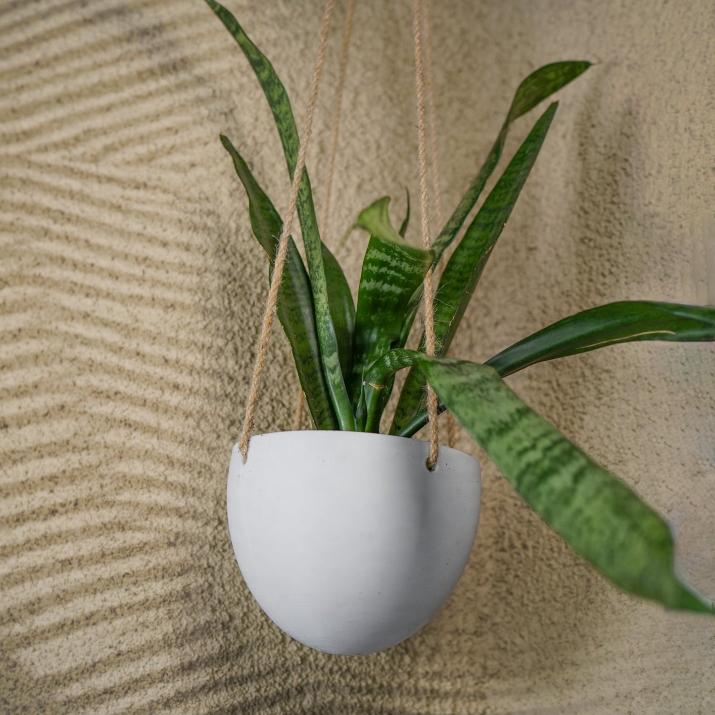 Minimalist Hanging Plant Pot with Drainage - Rosebud HomeGoods Black No Drainage Small MODERN HOME GOOD