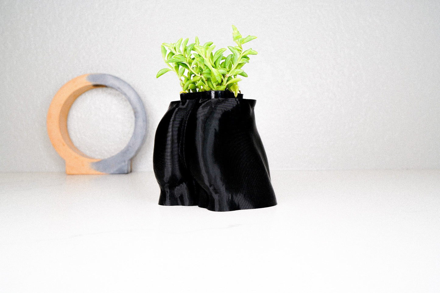 Muscle Butt Planter - Rosebud HomeGoods Black With Drip Tray MODERN HOME GOOD