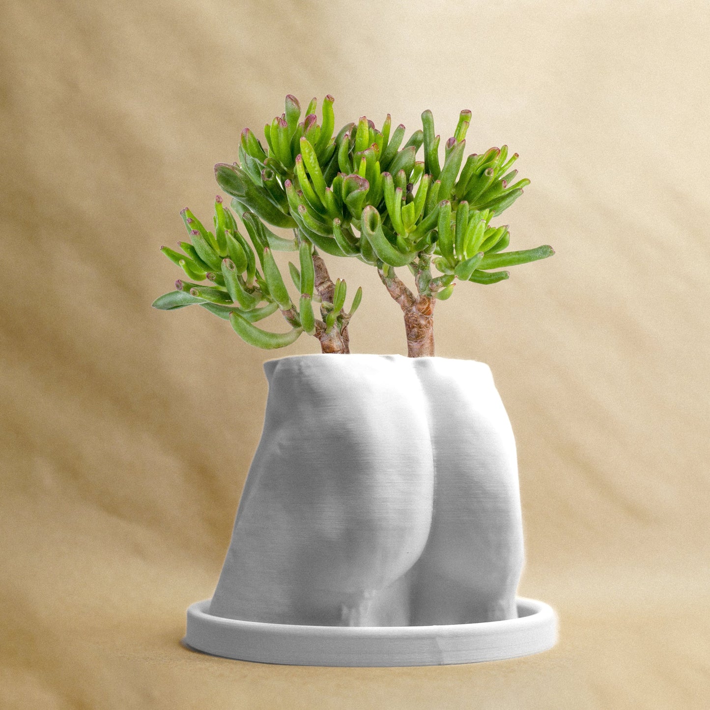 Muscle Butt Planter - Rosebud HomeGoods White With Drip Tray MODERN HOME GOOD