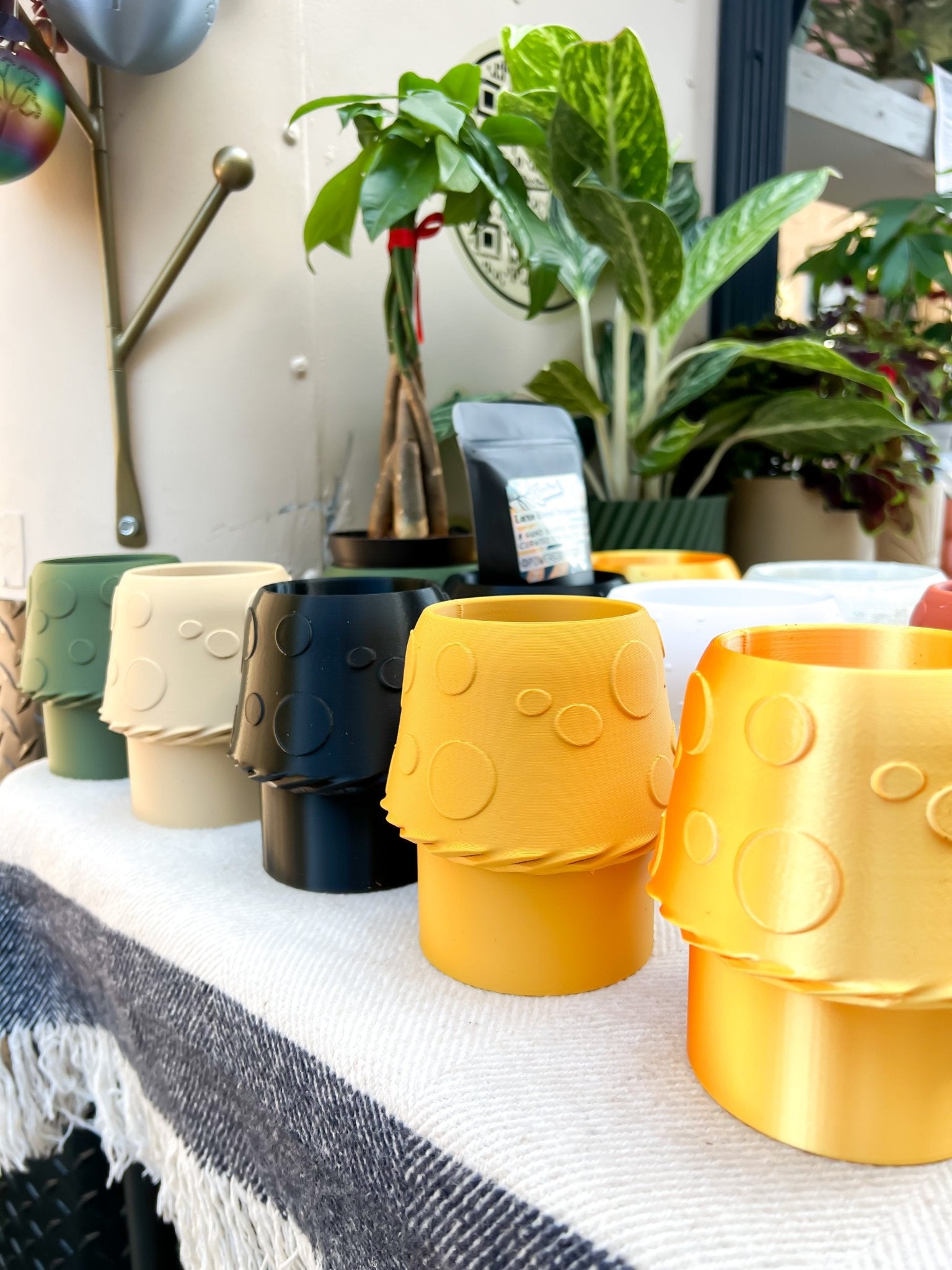 3D Printed Plant Pot and Air Plant Holder – Stylish, Durable, Eco-Friendly, Modern Design, Indoor & Outdoor Use, Multiple Sizes & Colors, Lightweight