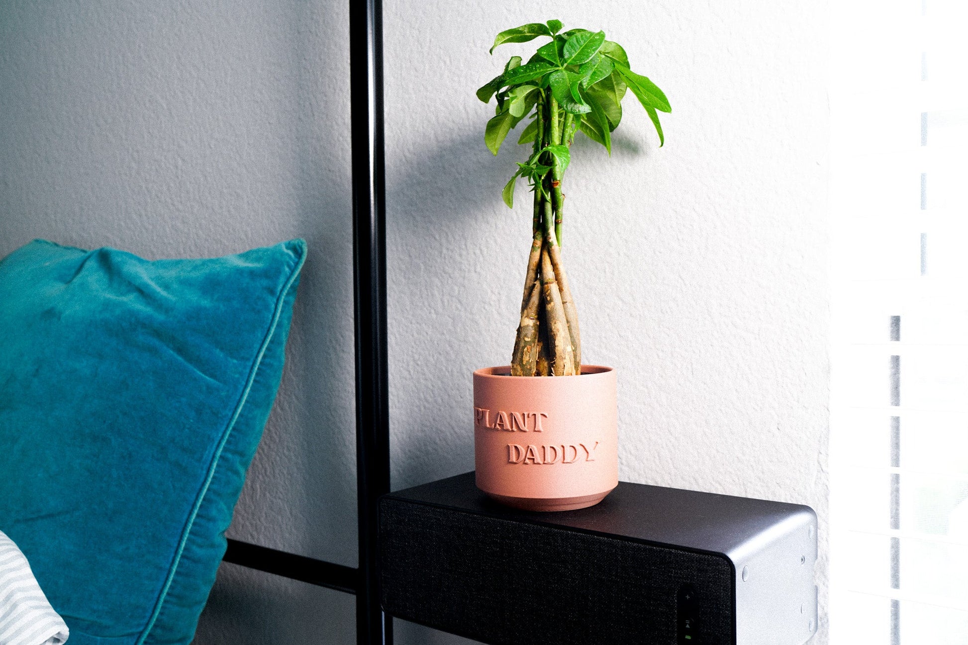 dad plant pot 3D Printed Plant Pot and Air Plant Holder – Stylish, Durable, Eco-Friendly, Modern Design, Indoor & Outdoor Use, Multiple Sizes & Colors, Lightweight, Easy to Clean, Perfect for Houseplants, Unique Planter, Decorative
