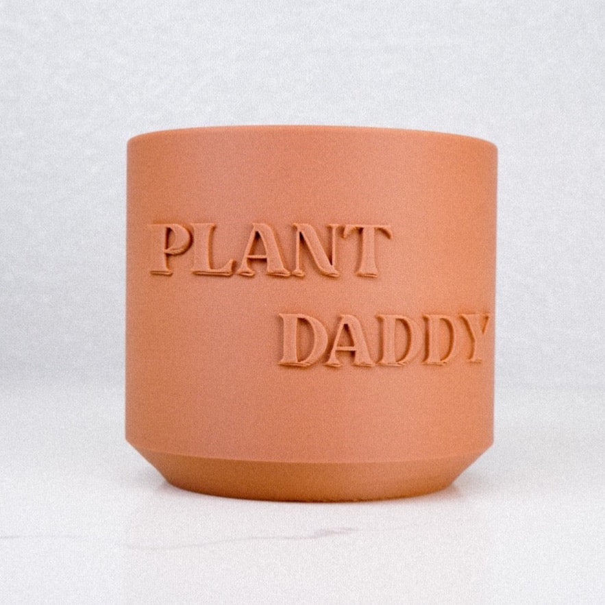 Plant Daddy Planter - Rosebud HomeGoods 4 Inch Terracotta With Drip Tray MODERN HOME GOOD