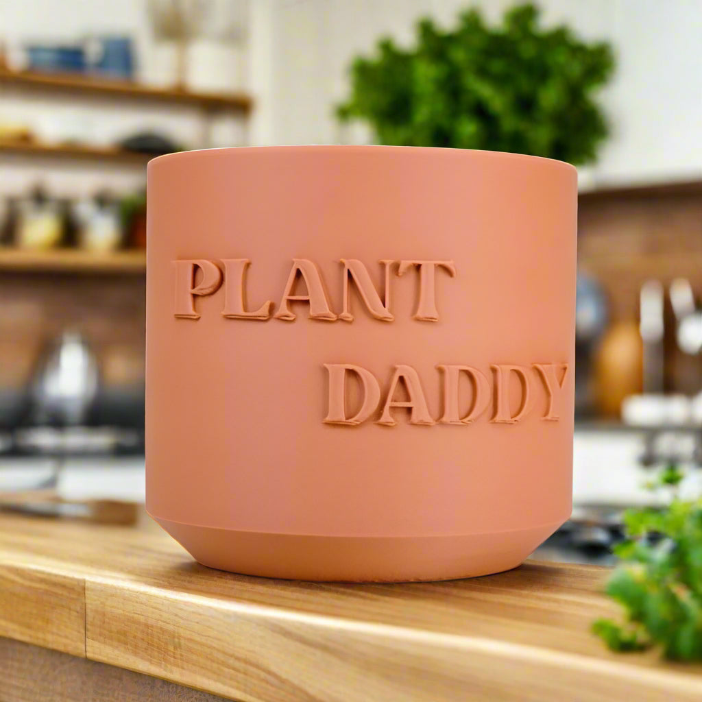 Plant Daddy Planter - Rosebud HomeGoods 4 Inch Terracotta With Drip Tray MODERN HOME GOOD